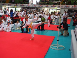Image description